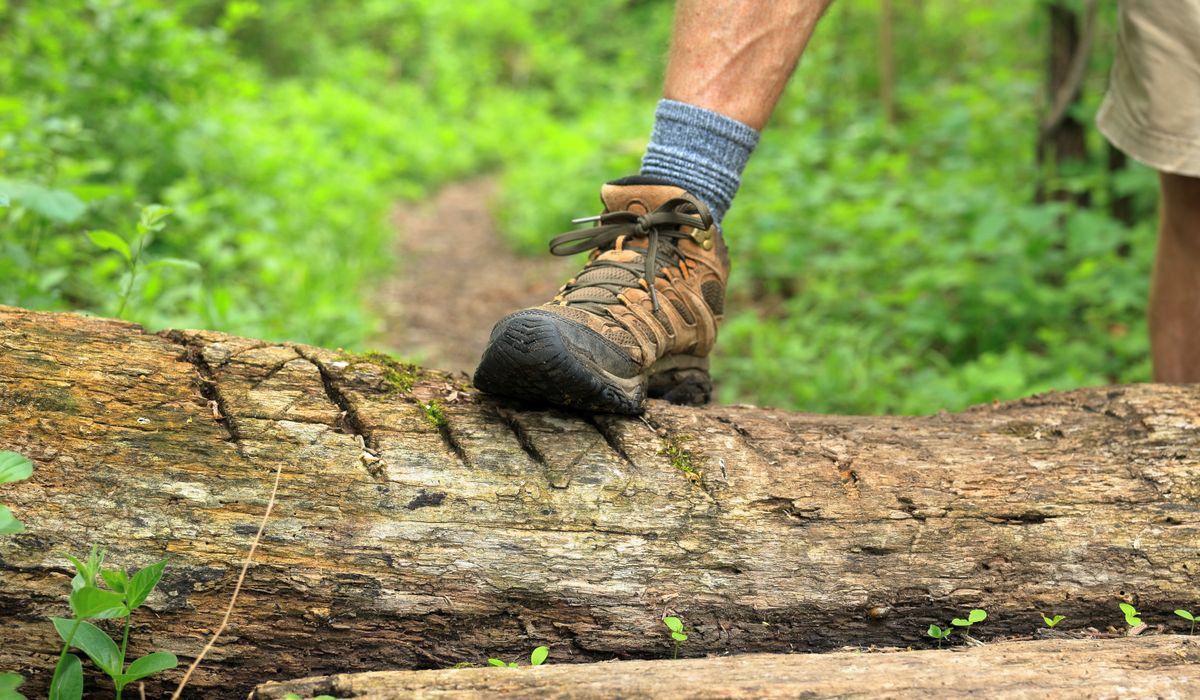 Navigating Coastal Paths in Poor Visibility
