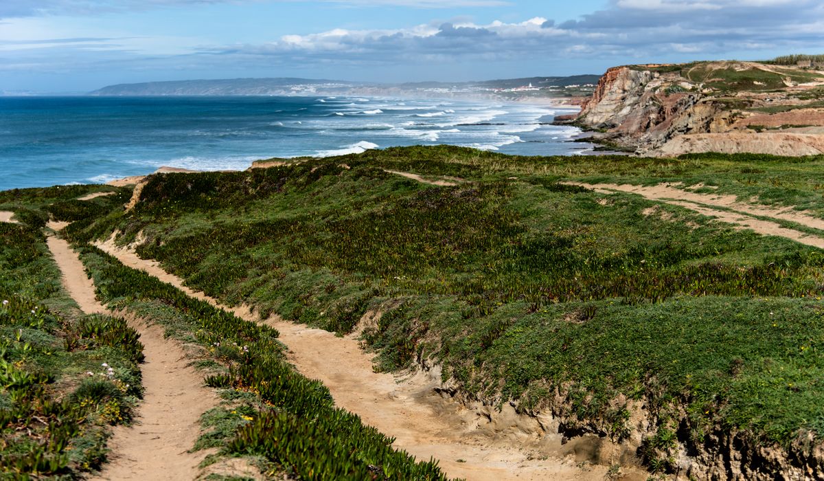 Planning a Safe and Scenic Coastal Path Walk