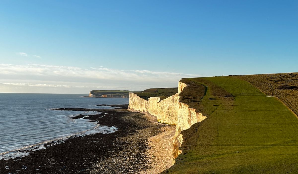 Watching Seals from Responsible Coastal Viewpoints
